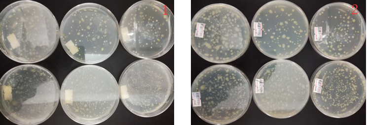 “超聲波處理對(duì)稻谷表面微生物的影響”發(fā)表論文啦??！